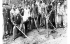 THƠ - BÁC HỒ NHẮC NHỞ TRỒNG CÂY
