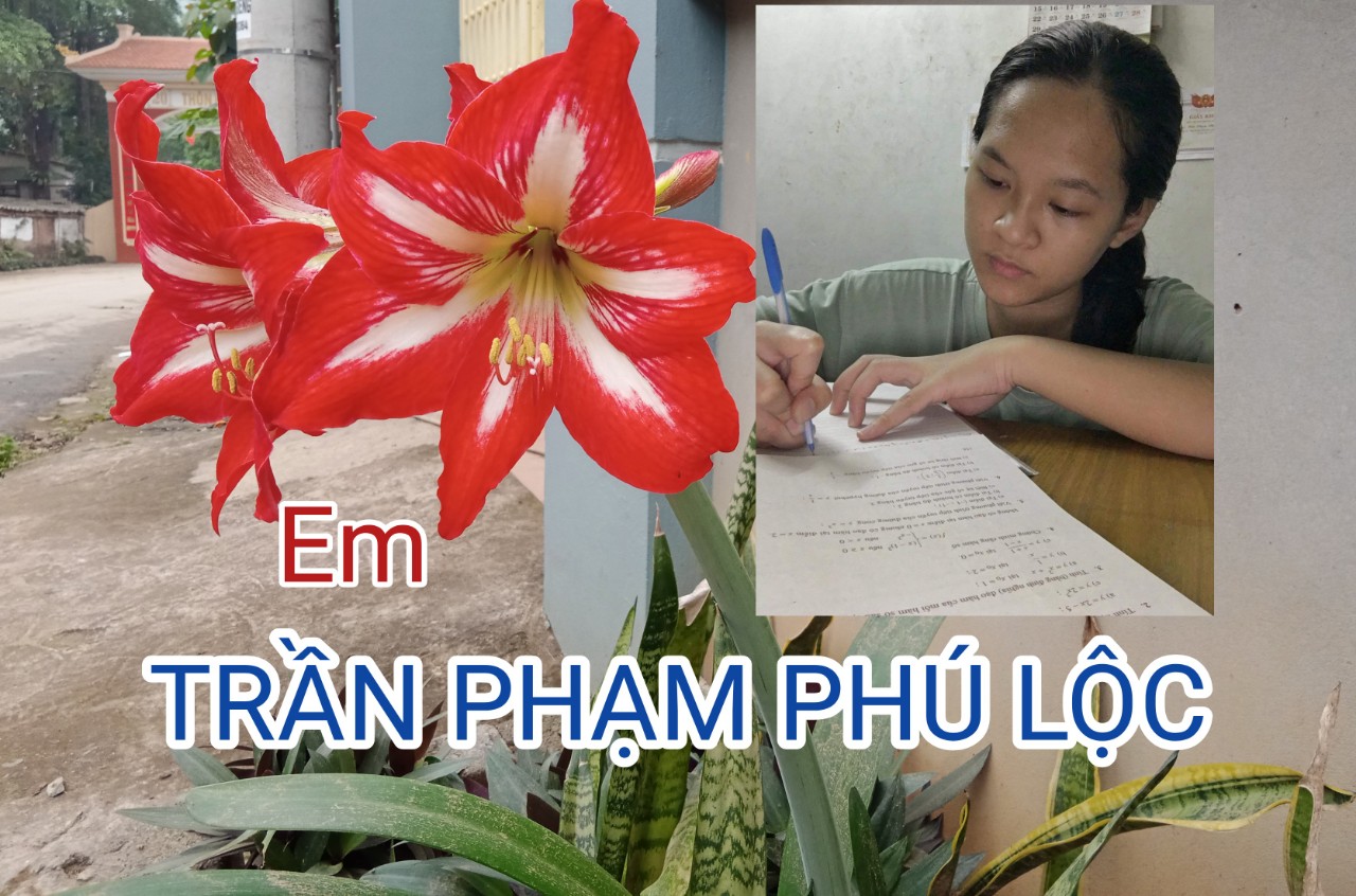 Em Trần Phạm Phú Lộc