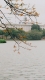 THƠ - THU VỀ