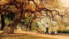 THƠ - NỖI NHỚ MÙA THU